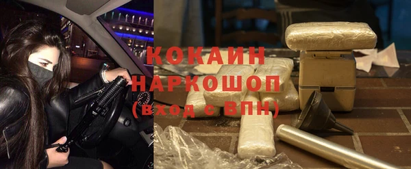 индика Белоозёрский