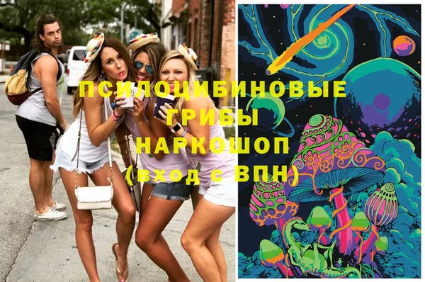 индика Белоозёрский