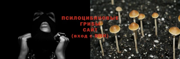 молекула духа Белокуриха