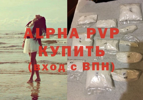 ПСИЛОЦИБИНОВЫЕ ГРИБЫ Богданович