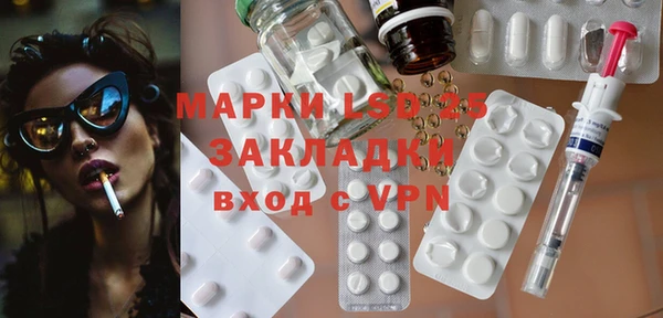 ПСИЛОЦИБИНОВЫЕ ГРИБЫ Богданович