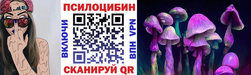 купить наркотики сайты  Кирс  blacksprut   Псилоцибиновые грибы MAGIC MUSHROOMS 